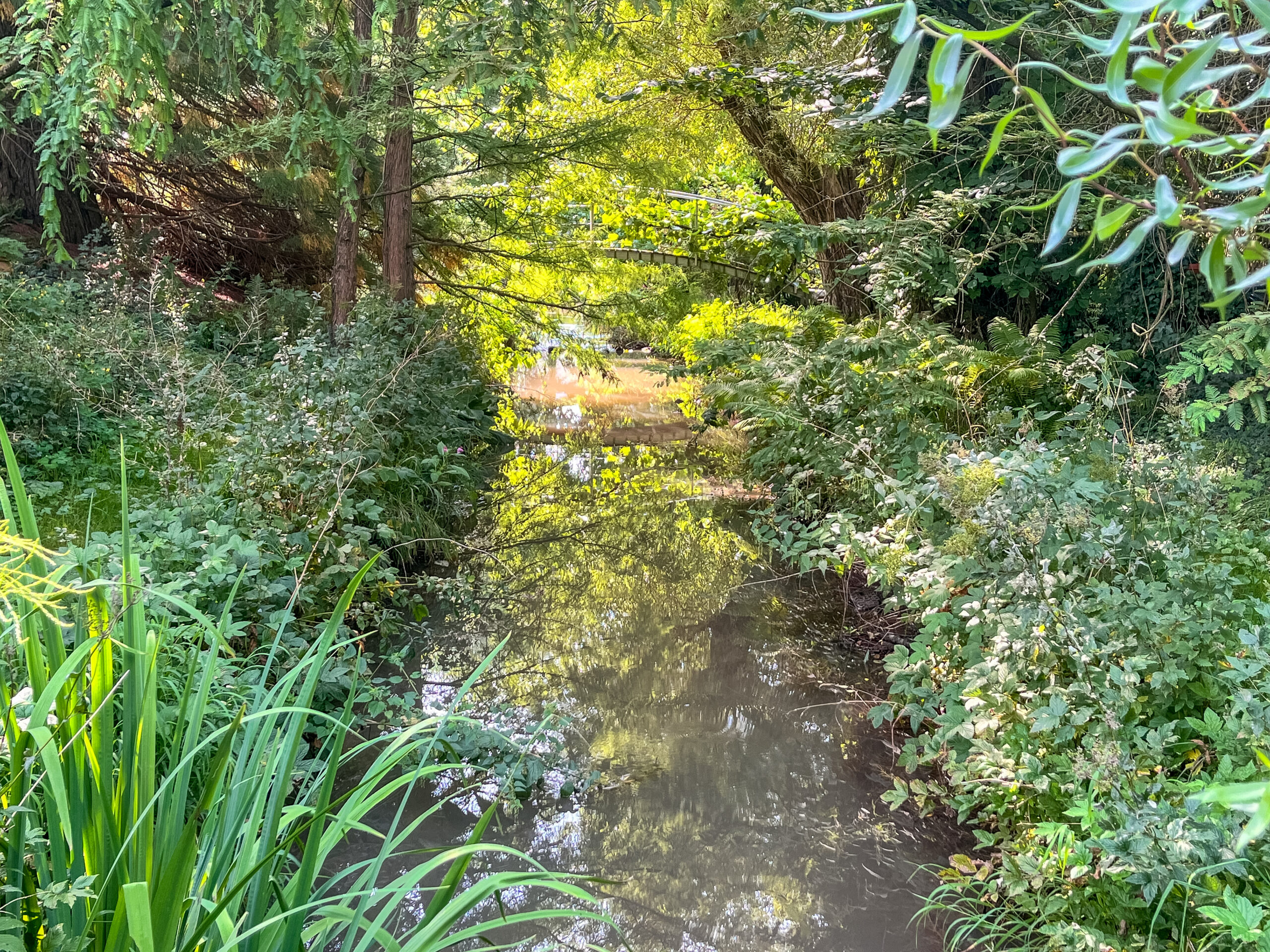 Die Brücke über die Ermetz in unserem grünen Garten